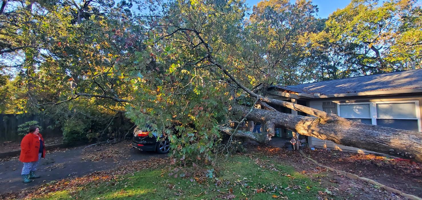 Joshua Tree Service - Smyrna, GA