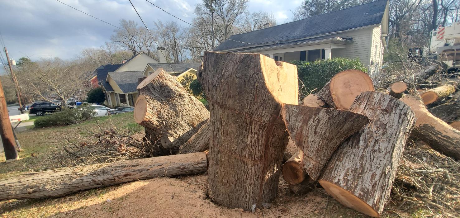 Joshua Tree Service - Smyrna, GA