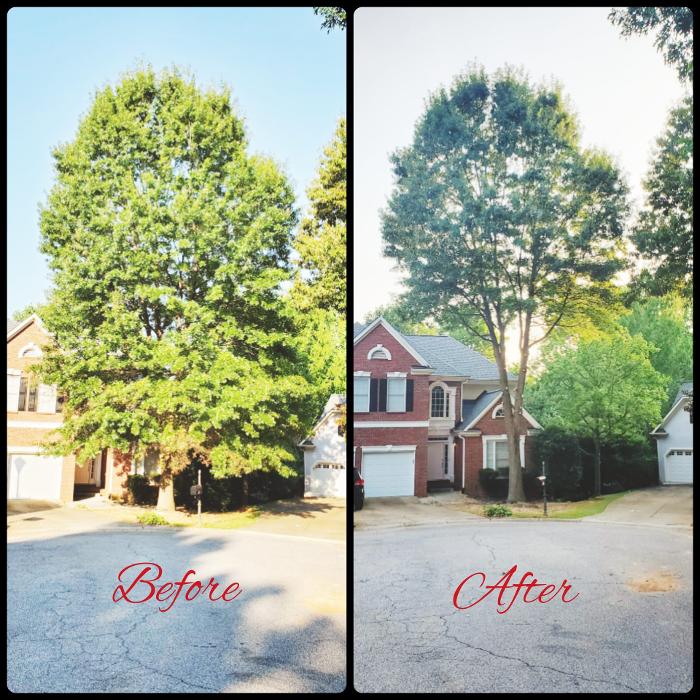 Joshua Tree Service - Smyrna, GA