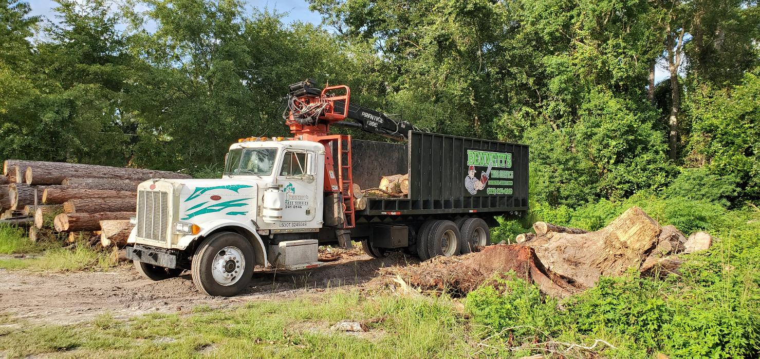 Joshua Tree Service - Smyrna, GA