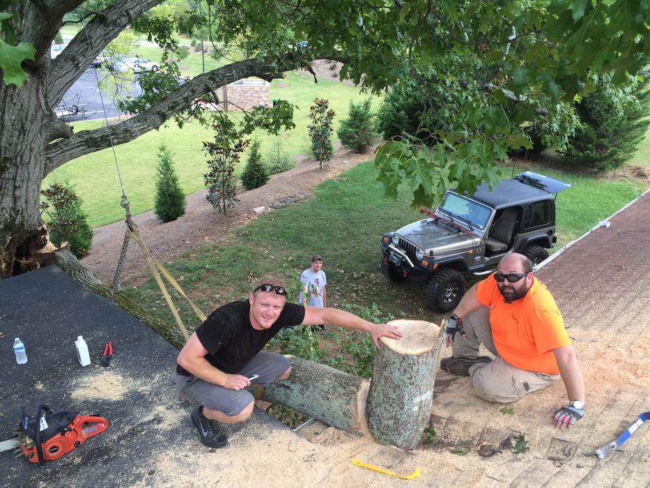 Joshua Tree Service - Smyrna, GA