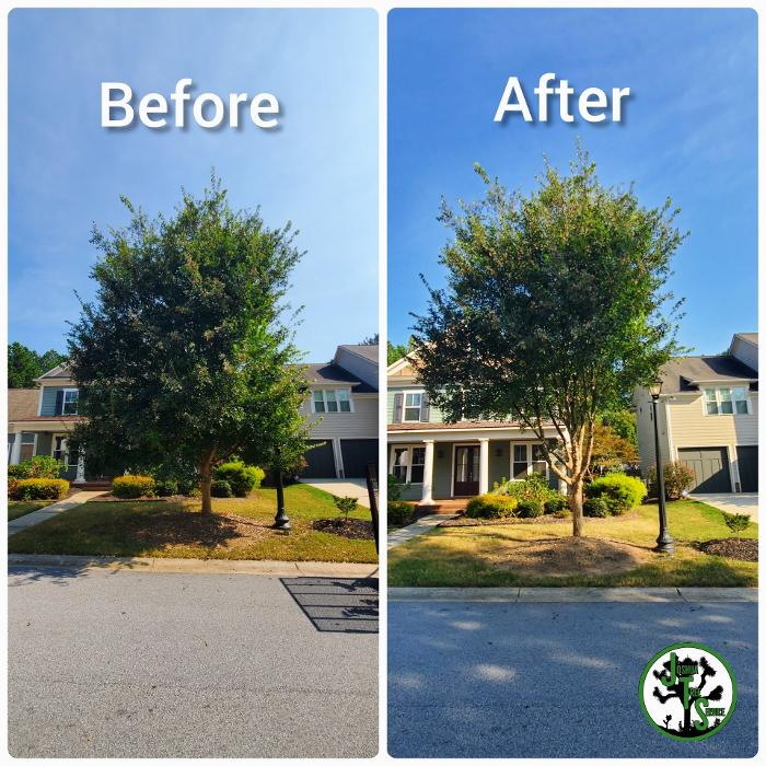 Joshua Tree Service - Smyrna, GA