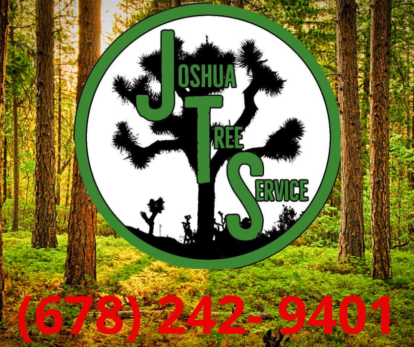 Joshua Tree Service - Smyrna, GA