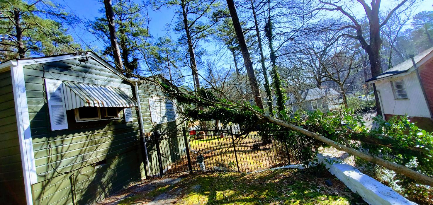 Joshua Tree Service - Smyrna, GA