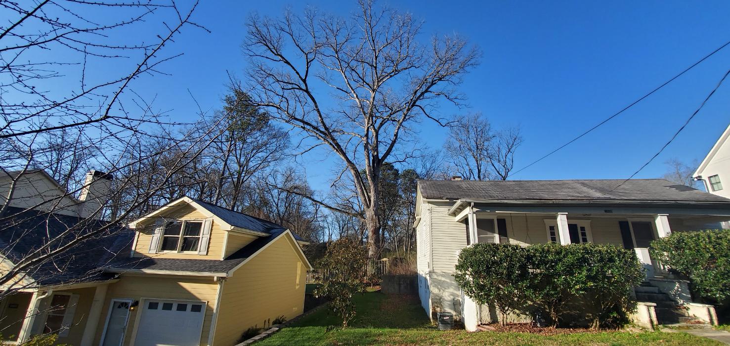 Joshua Tree Service - Smyrna, GA