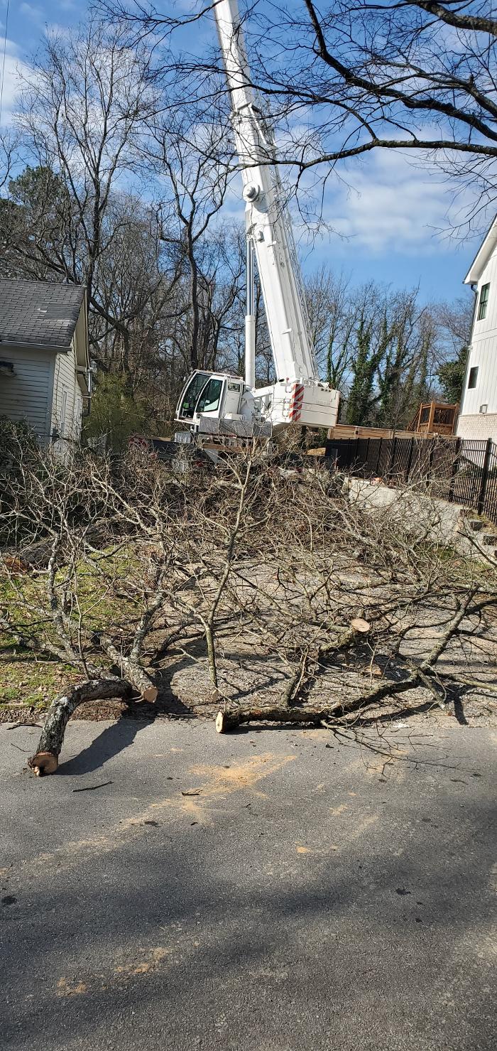 Joshua Tree Service - Smyrna, GA