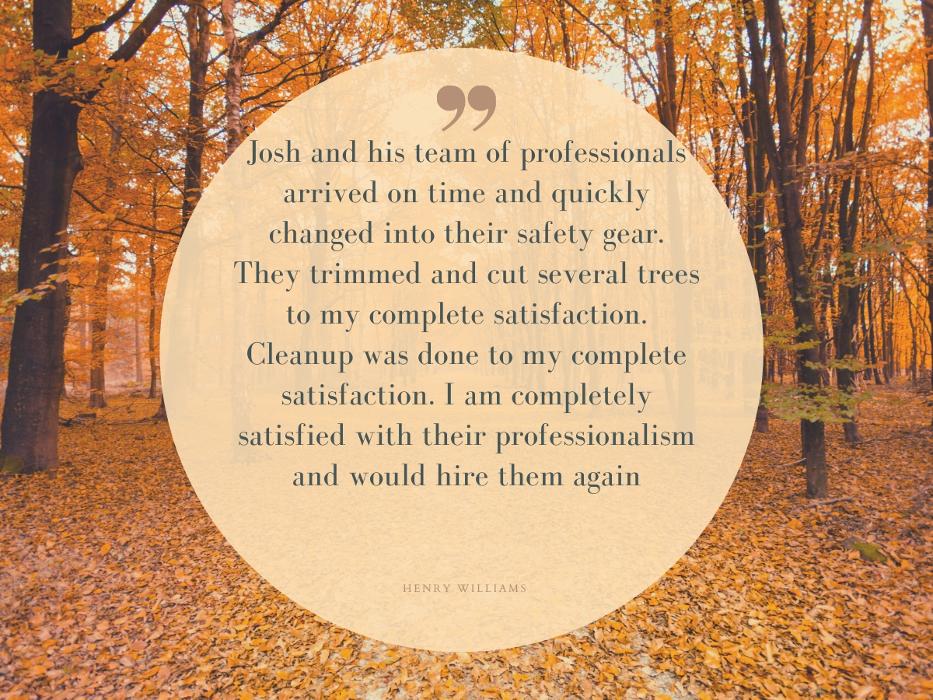 Joshua Tree Service - Smyrna, GA