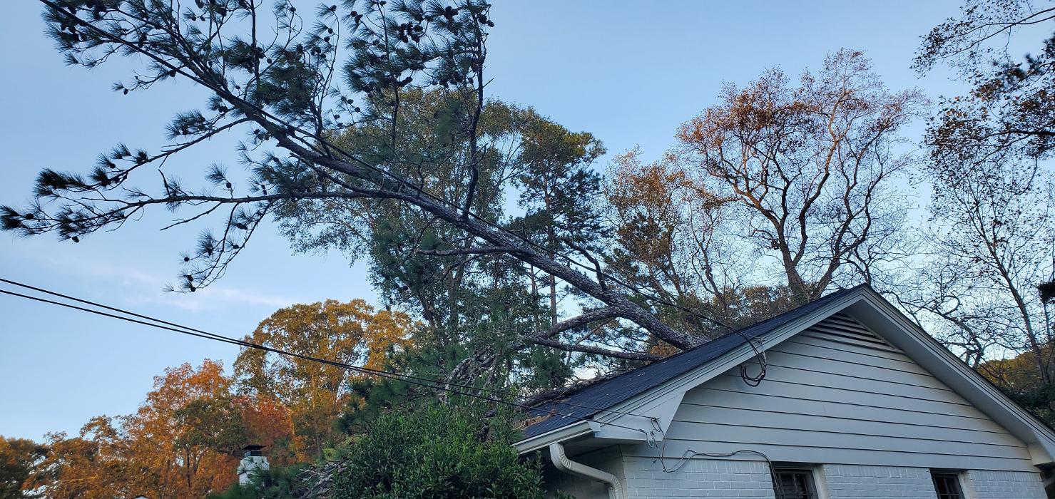 Joshua Tree Service - Smyrna, GA