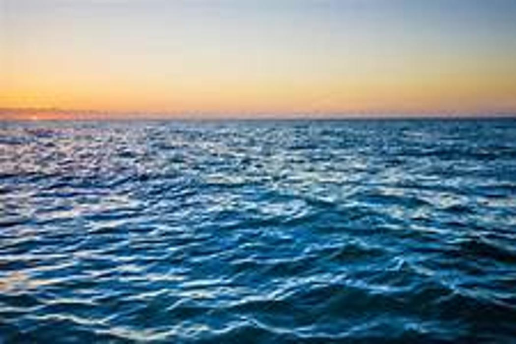 Cremations of Tampa - Plant City, FL