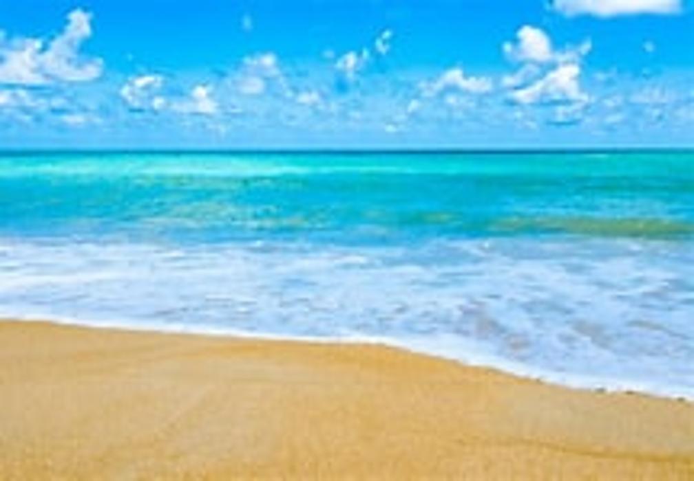 Cremations of Tampa - Plant City, FL