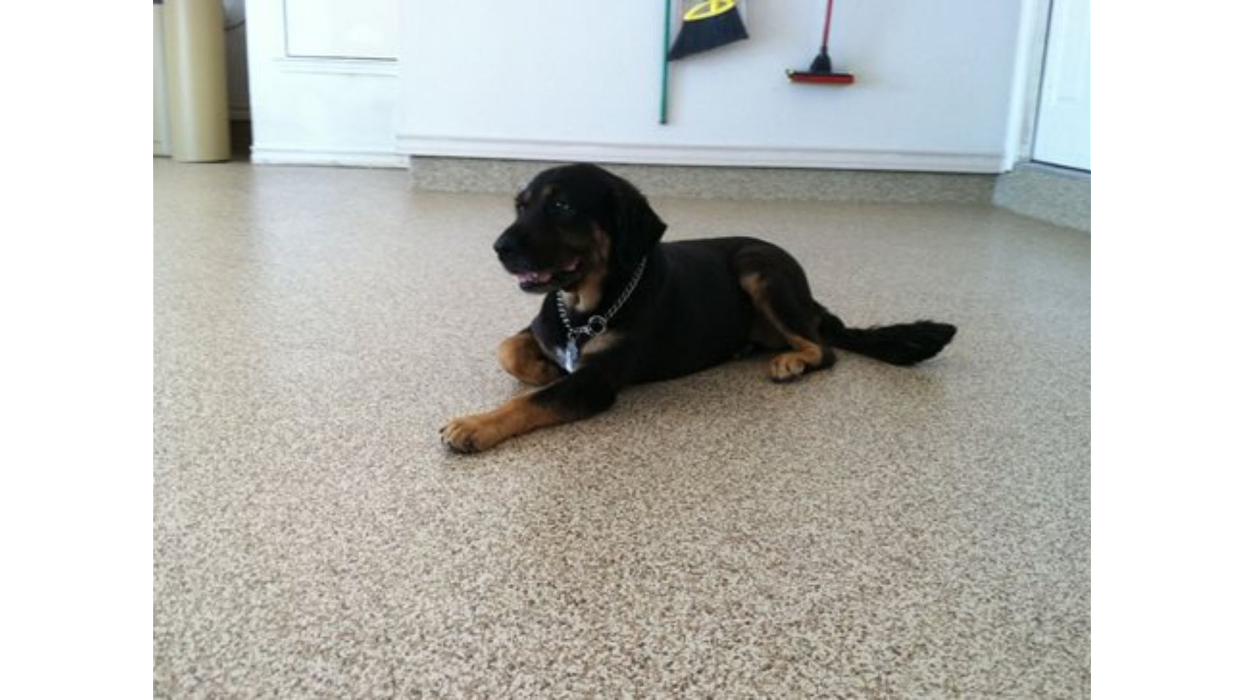 Apex Epoxy Flooring of Orlando - Winter Park, FL