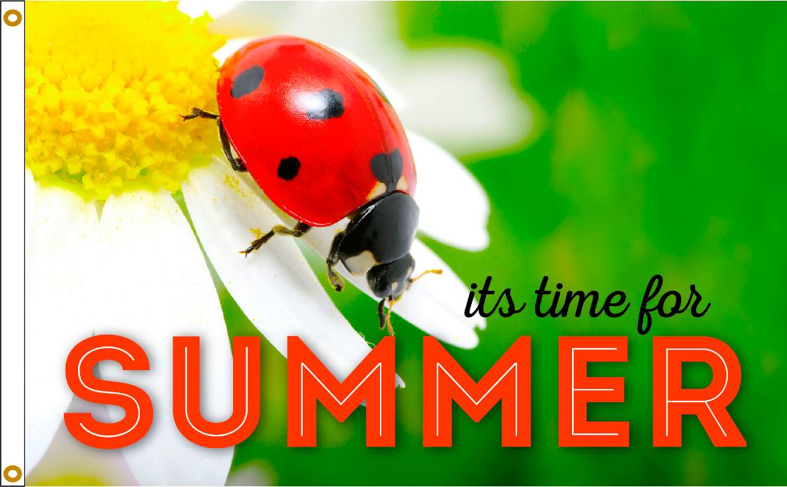 Flag World Company Image