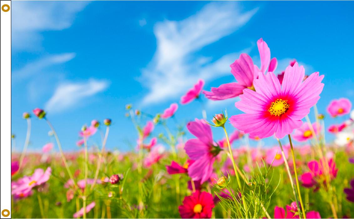 Flag World Company Image