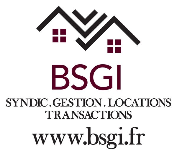 BSGI organisation internationale
