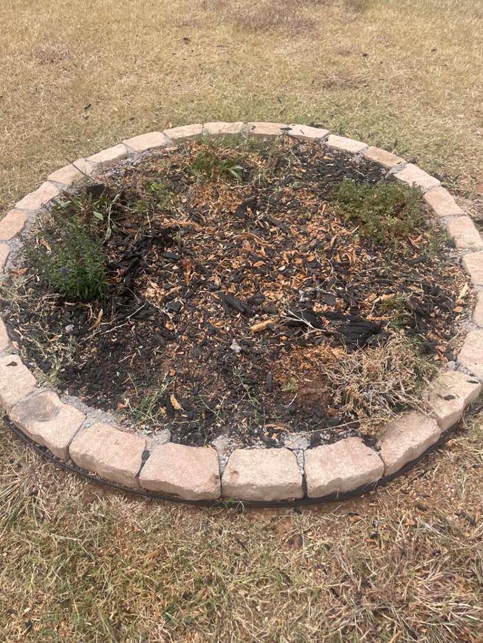 OKC Stump Grinding - Norman, OK