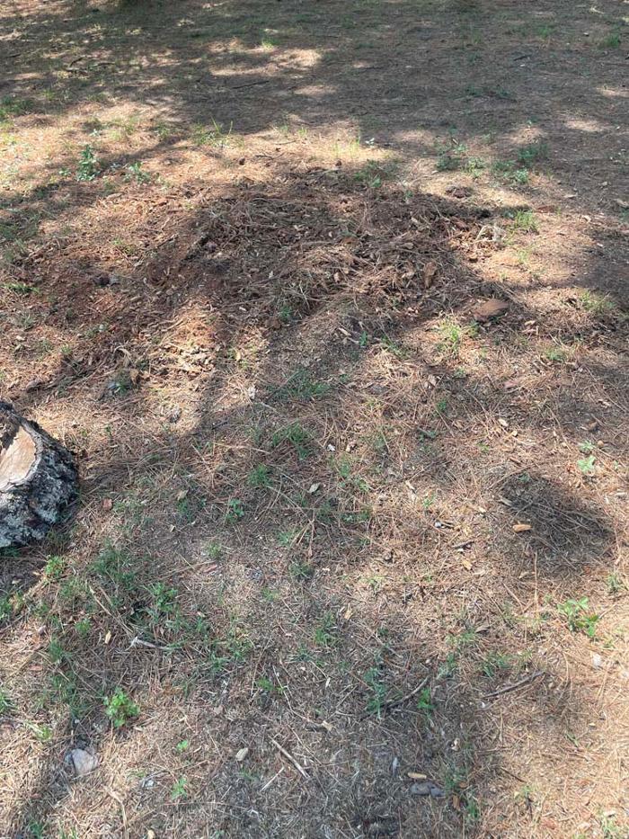 OKC Stump Grinding - Norman, OK