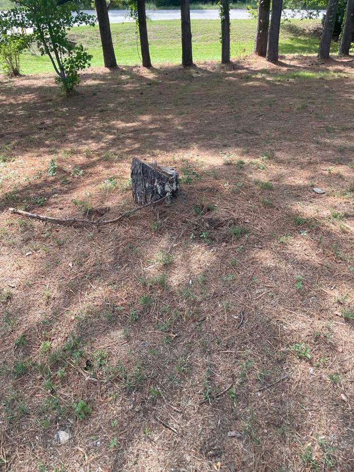 OKC Stump Grinding - Norman, OK