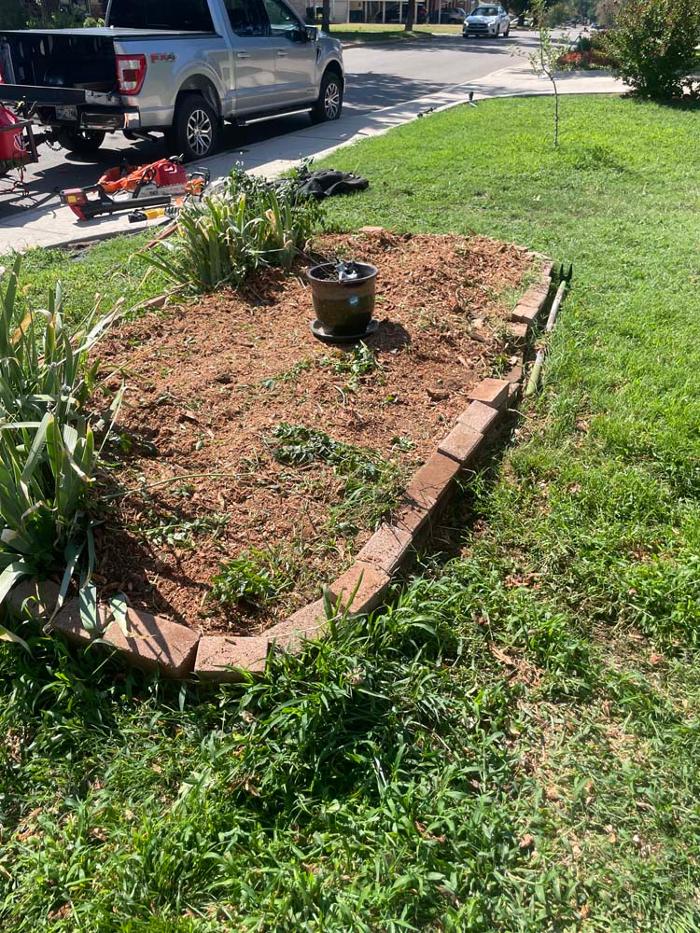 OKC Stump Grinding - Norman, OK