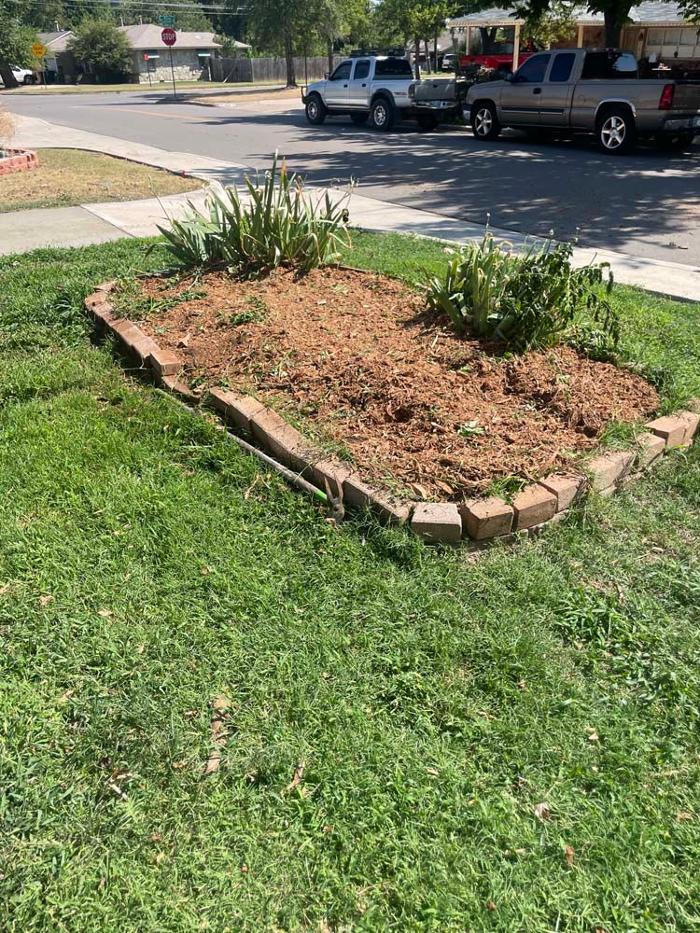 OKC Stump Grinding - Norman, OK