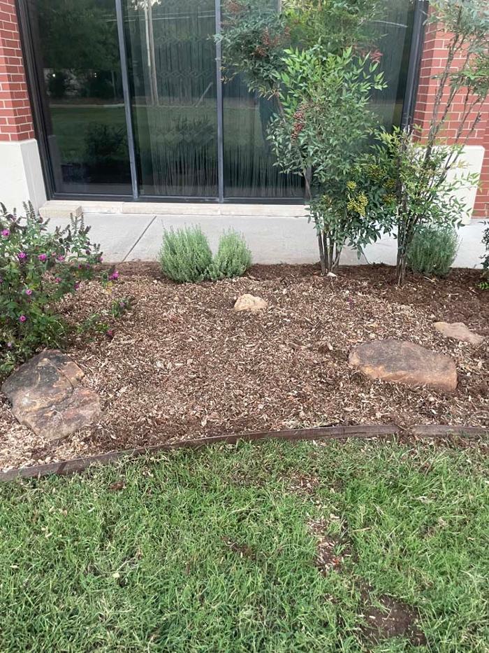 OKC Stump Grinding - Norman, OK