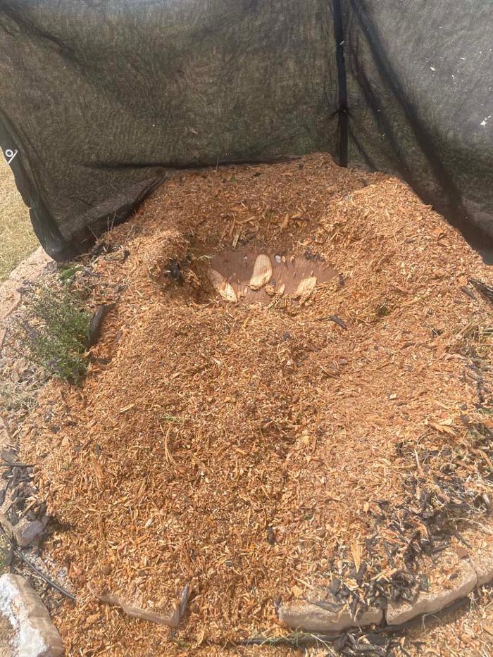 OKC Stump Grinding - Norman, OK