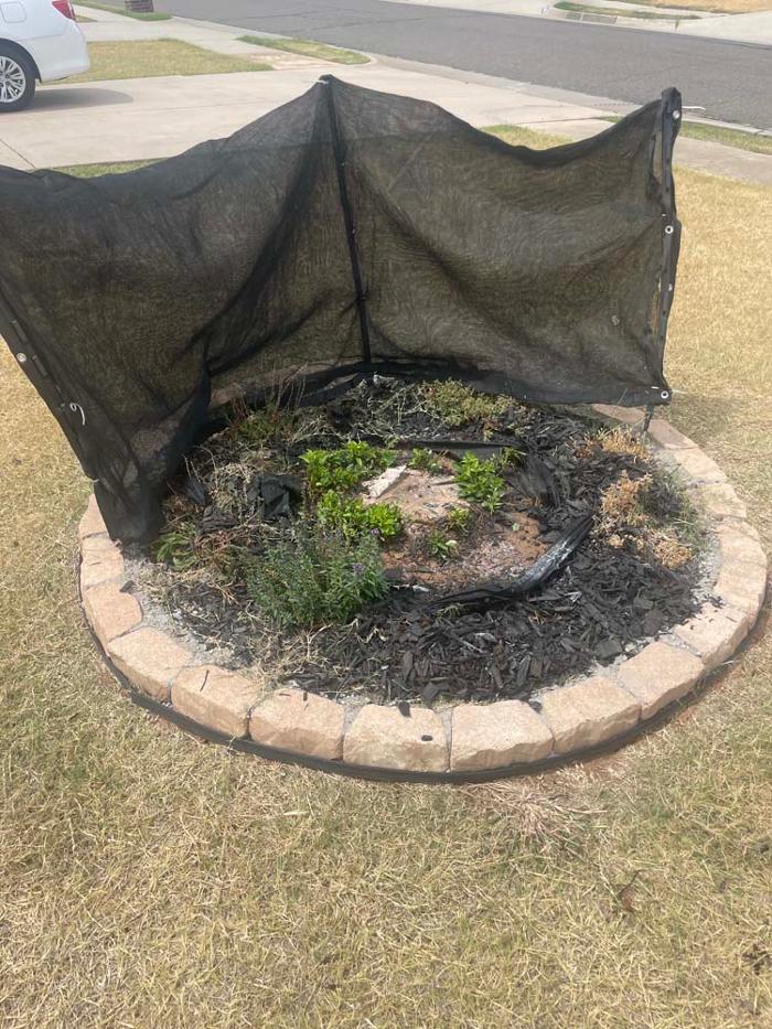 OKC Stump Grinding - Norman, OK