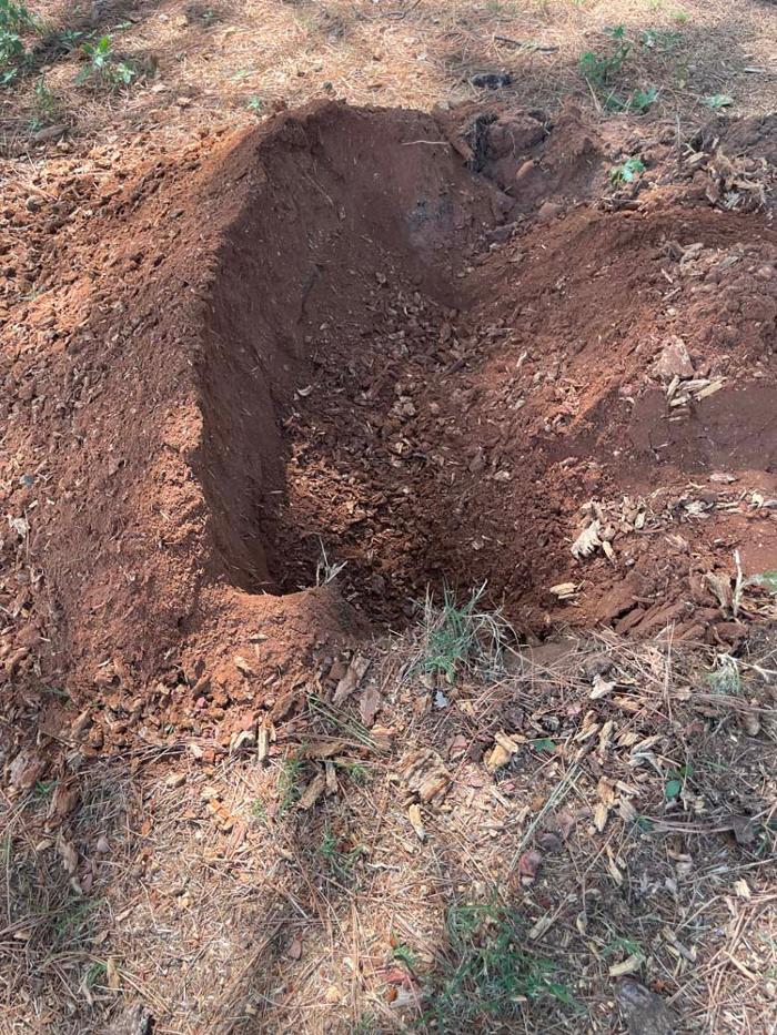 OKC Stump Grinding - Norman, OK