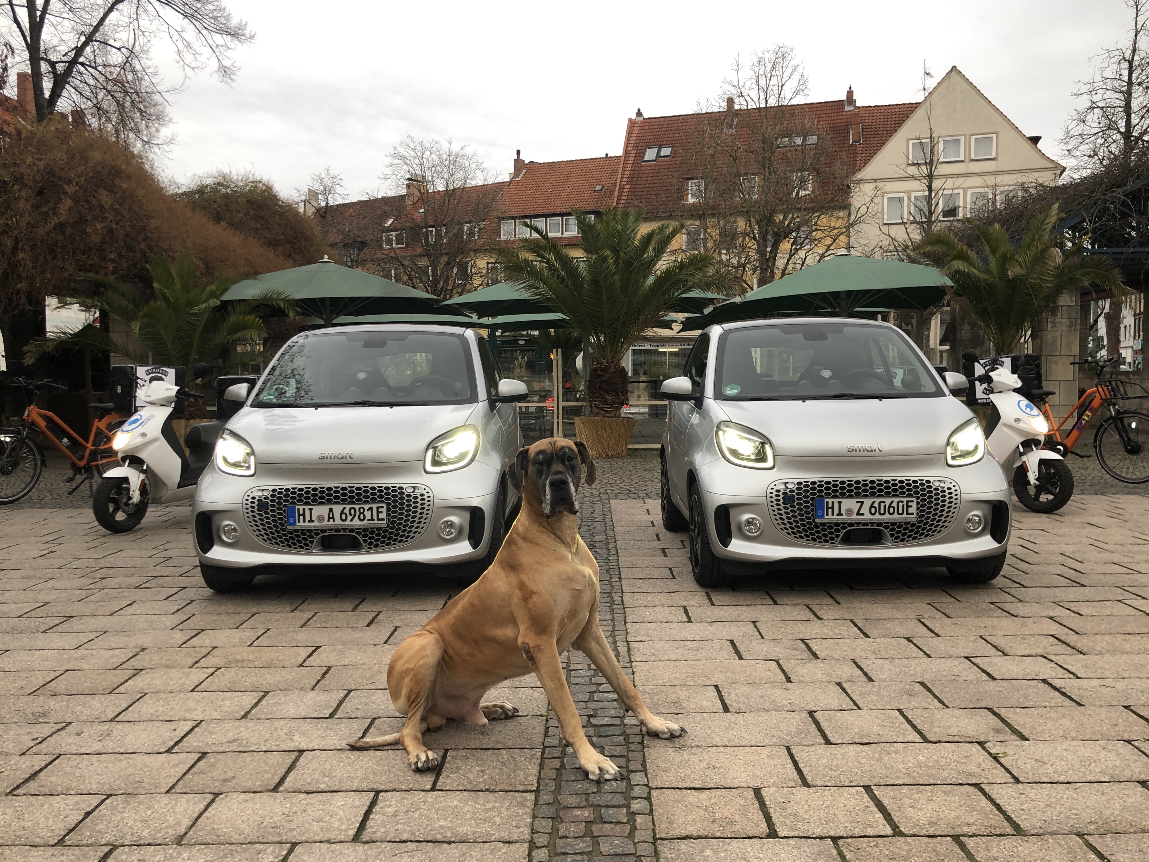 Galerie-Thumbnail