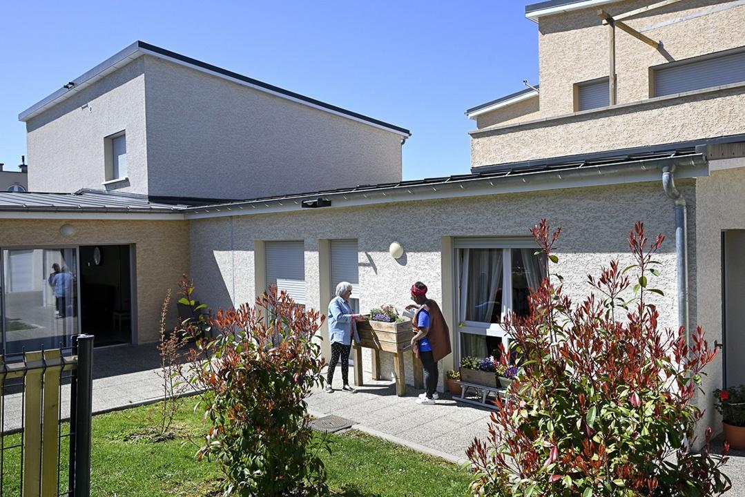 galerie image