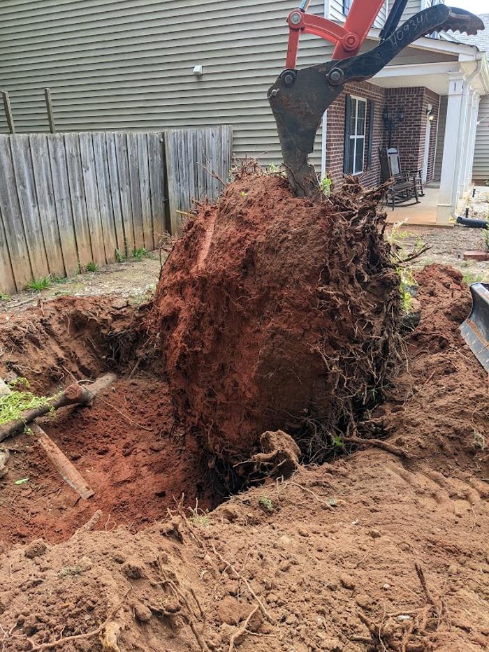 RLL Services - Oxford, GA