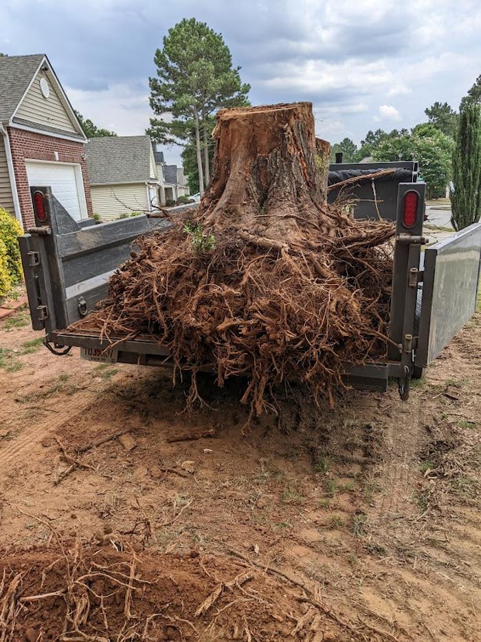 RLL Services - Oxford, GA