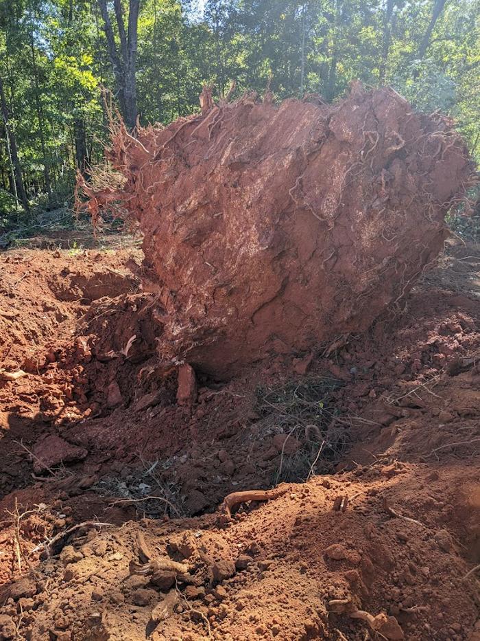 RLL Services - Oxford, GA