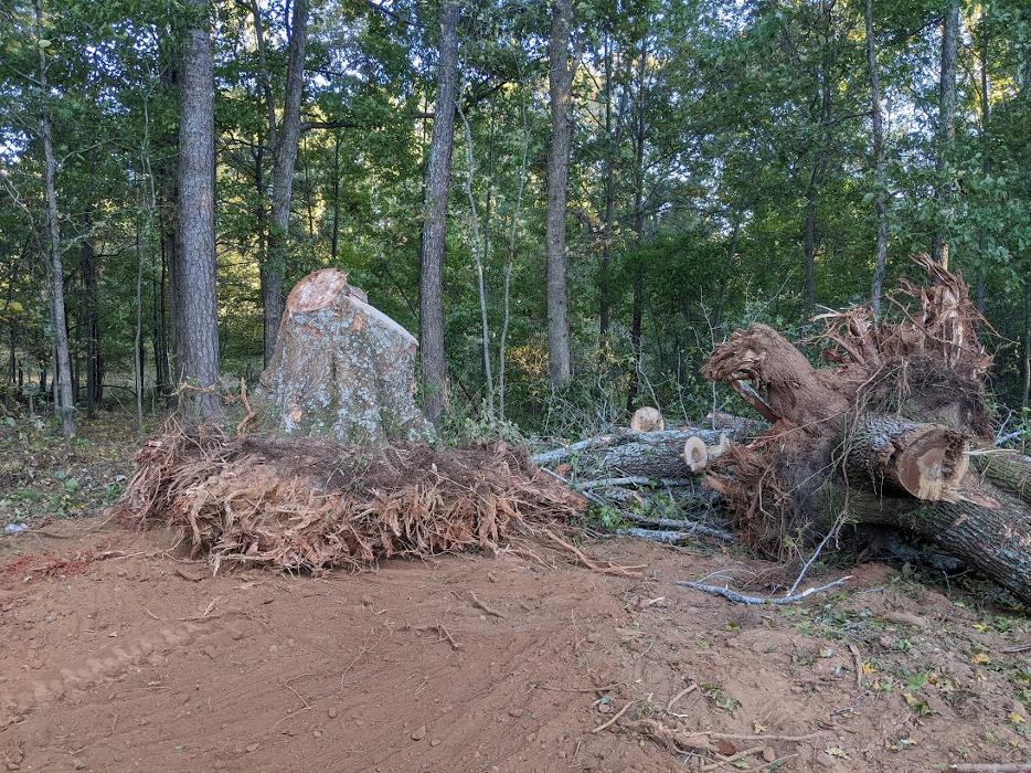 RLL Services - Oxford, GA