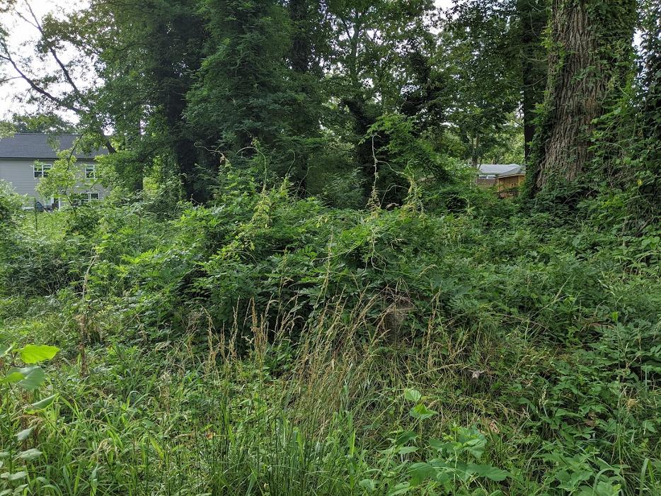 RLL Services - Oxford, GA