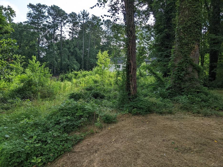 RLL Services - Oxford, GA