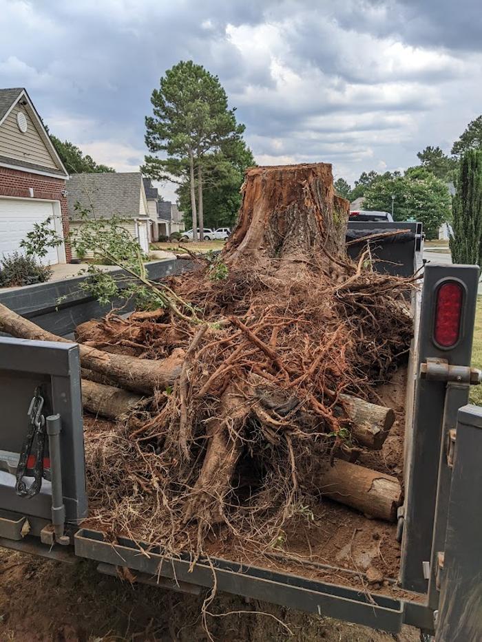 RLL Services - Oxford, GA