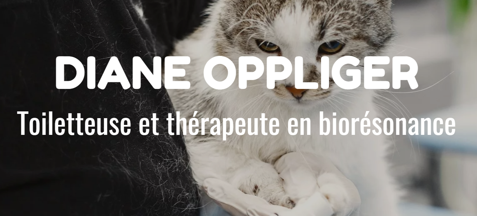 O-POIL Thérapie, Avenue de Villardin in Pully