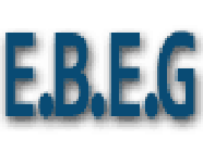 E.B.E.G Entreprise de Bobinage Electricité Générale Expert