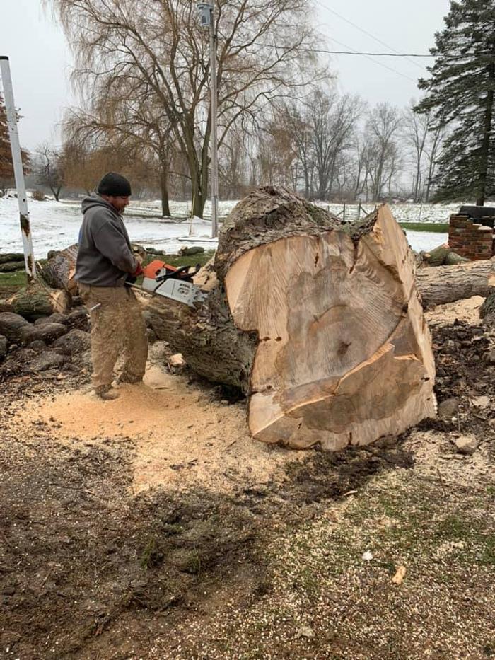 Allan's Tree Service, LLC - Fowlerville, MI