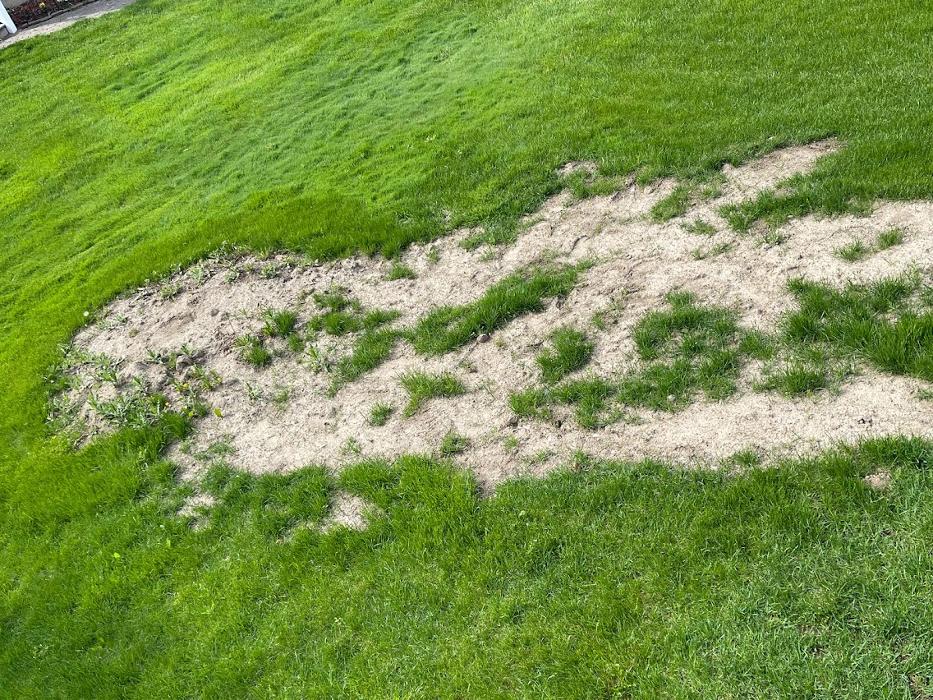 Allan's Tree Service, LLC - Fowlerville, MI