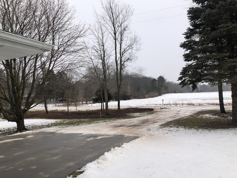Allan's Tree Service, LLC - Fowlerville, MI