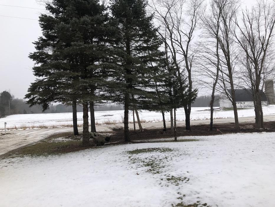 Allan's Tree Service, LLC - Fowlerville, MI