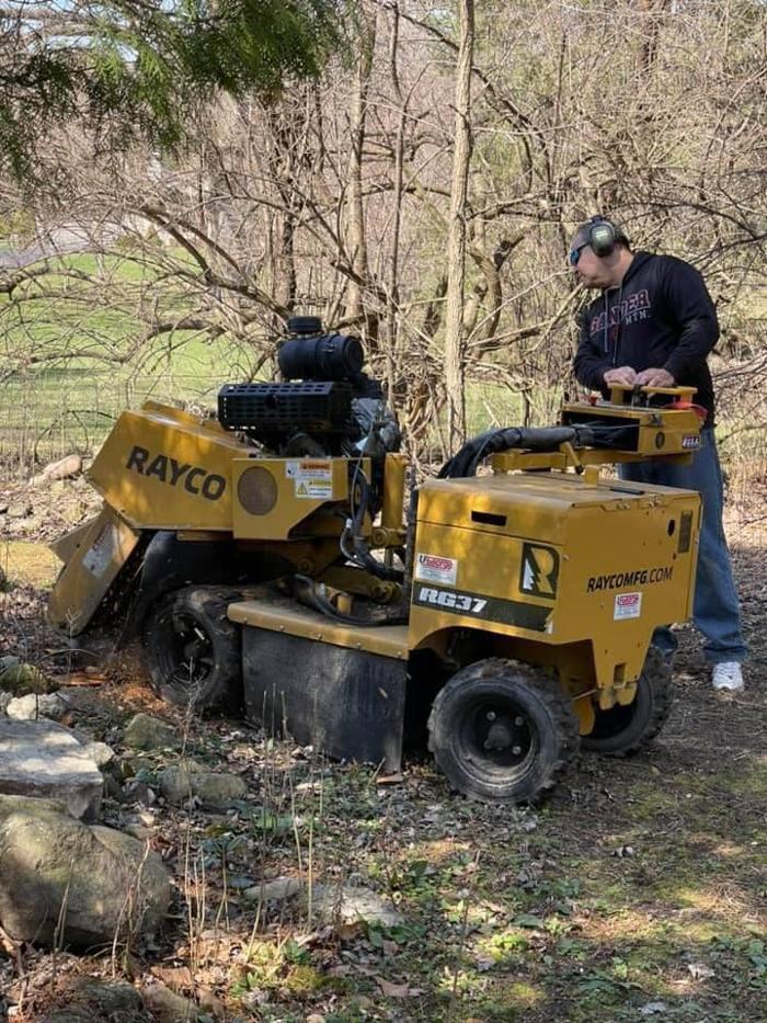 Clark's Stump Removal & Tree Service - Franklin, WI