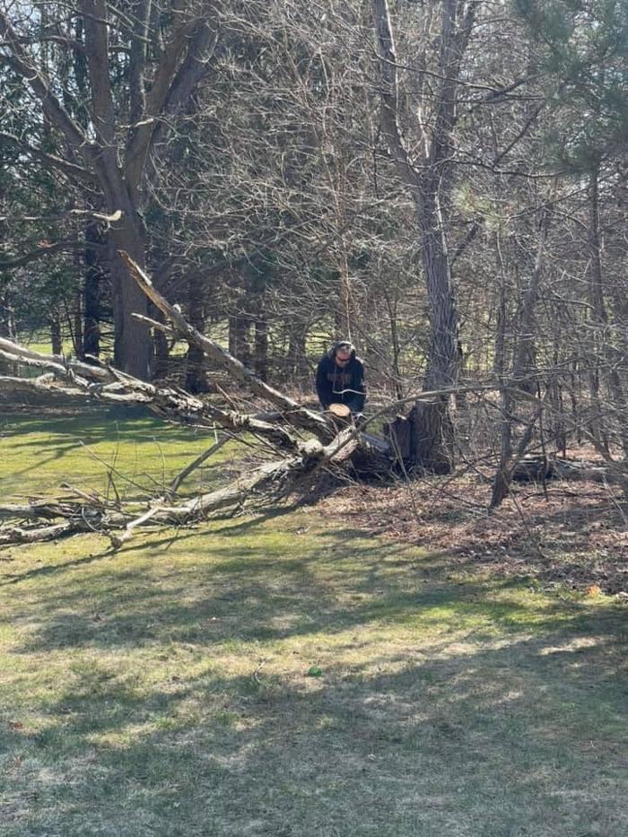 Clark's Stump Removal & Tree Service - Franklin, WI