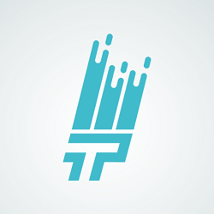 That 1 Painter North Tampa Logo