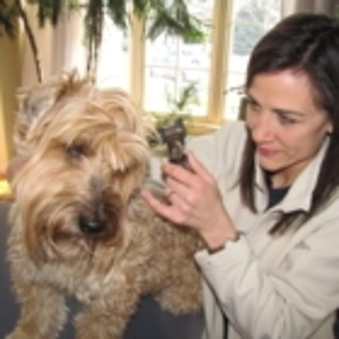 Animal Ark Veterinary Svcs