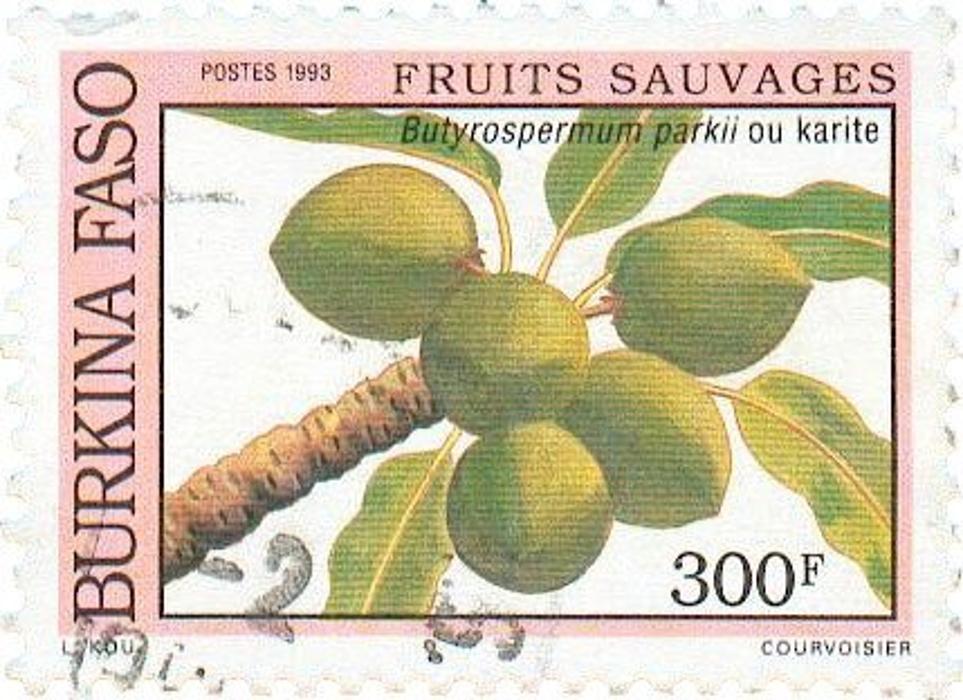 Arbordoun's Abundantly Herbal Skin Care Products - Lopez Island, WA