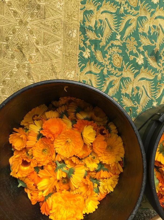 Arbordoun's Abundantly Herbal Skin Care Products - Lopez Island, WA