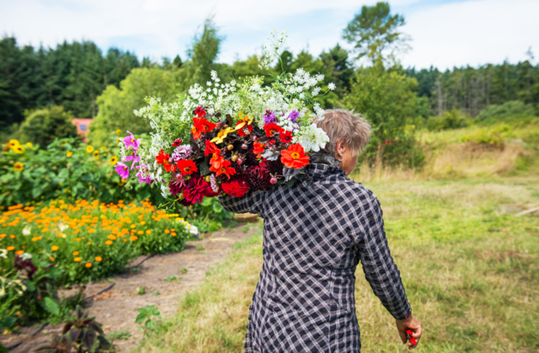 Arbordoun's Abundantly Herbal Skin Care Products - Lopez Island, WA
