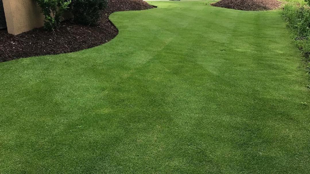 Elite Total Landscaping - Longs, SC